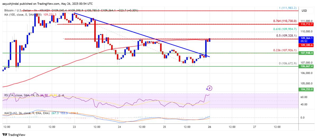 BTC-Price-rally - CRYPTABLOCKS